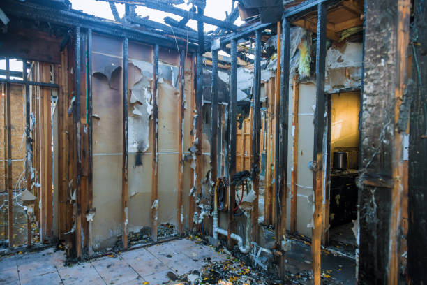 Professional Soot Removal technician working in Franklin Park, PA